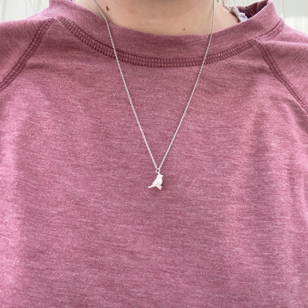 Charming Charlie’s Bird Necklace